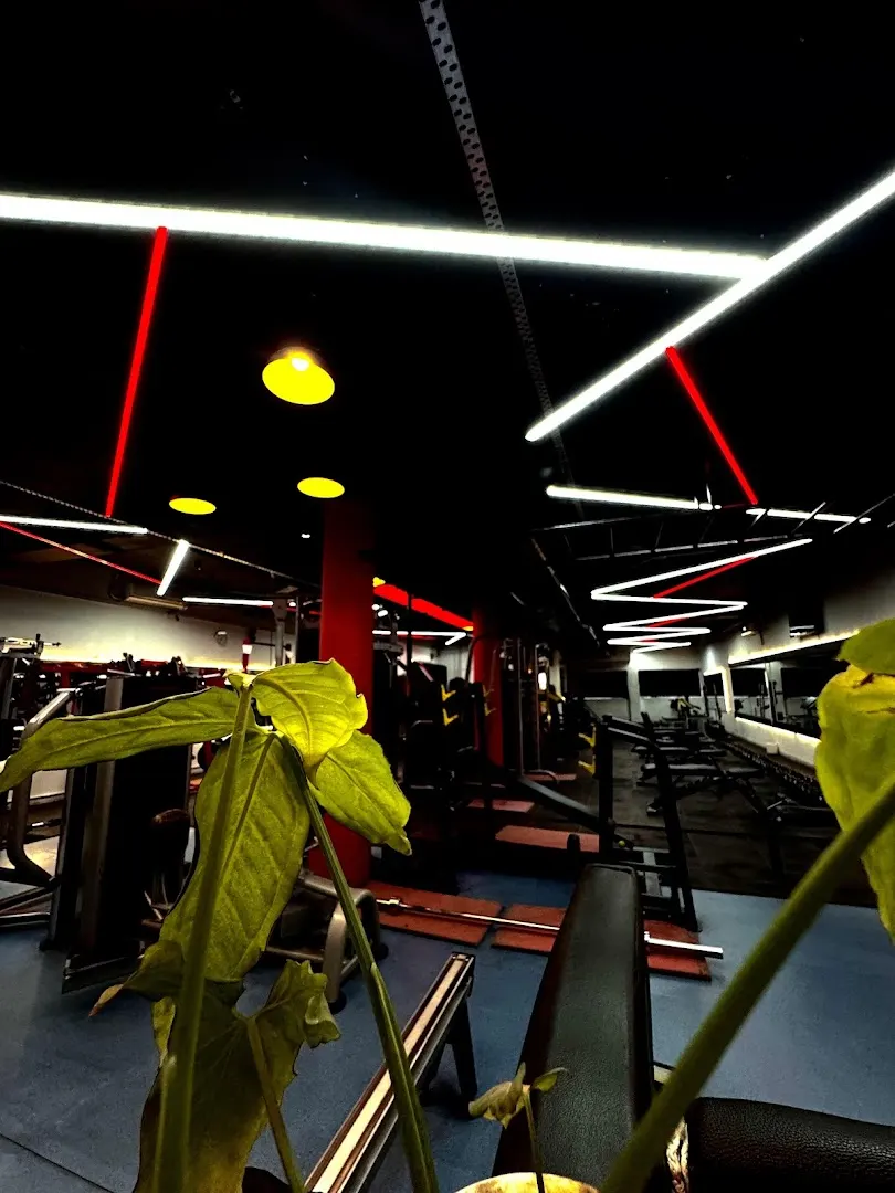 Pumping Weapons Gym BEST GYM IN SECTOR 22 — Fitness Center in Sector 22