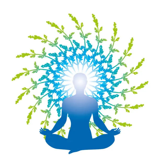 Shree Yoga Vijnana Kendra (SYVK) — Yoga in Yelahanka New Town, Bengaluru