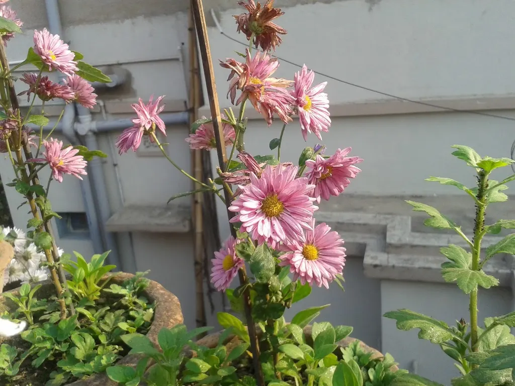 Academy Music And Fine Arts — Art & Craft in Santoshpur