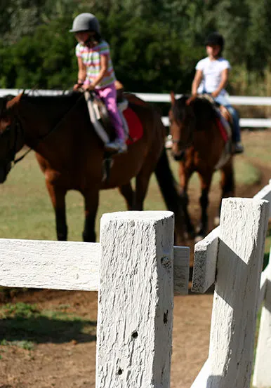 ASC Riding & Polo Academy (ARPA) — Horse Riding in Agram, Bengaluru
