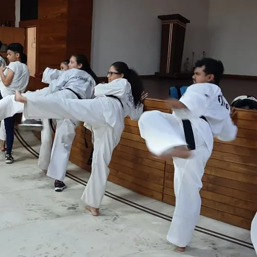 Kolkata Taekwondo N Kickboxing Academy NATIONAL INSTRUCTOR Affiliated SPORTISA ASSOCIATION (ministry of corporate affairs) — Martial Arts in Topsia