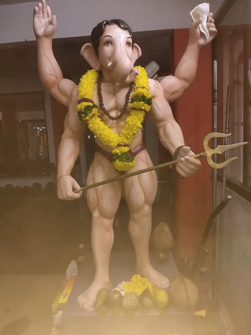 The Gym — Standard Gym in Viman Nagar, Pune