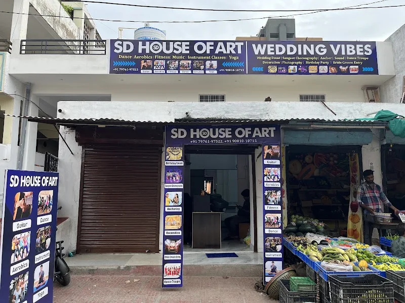 SD House of Art — Art & Craft in Hiran Magri