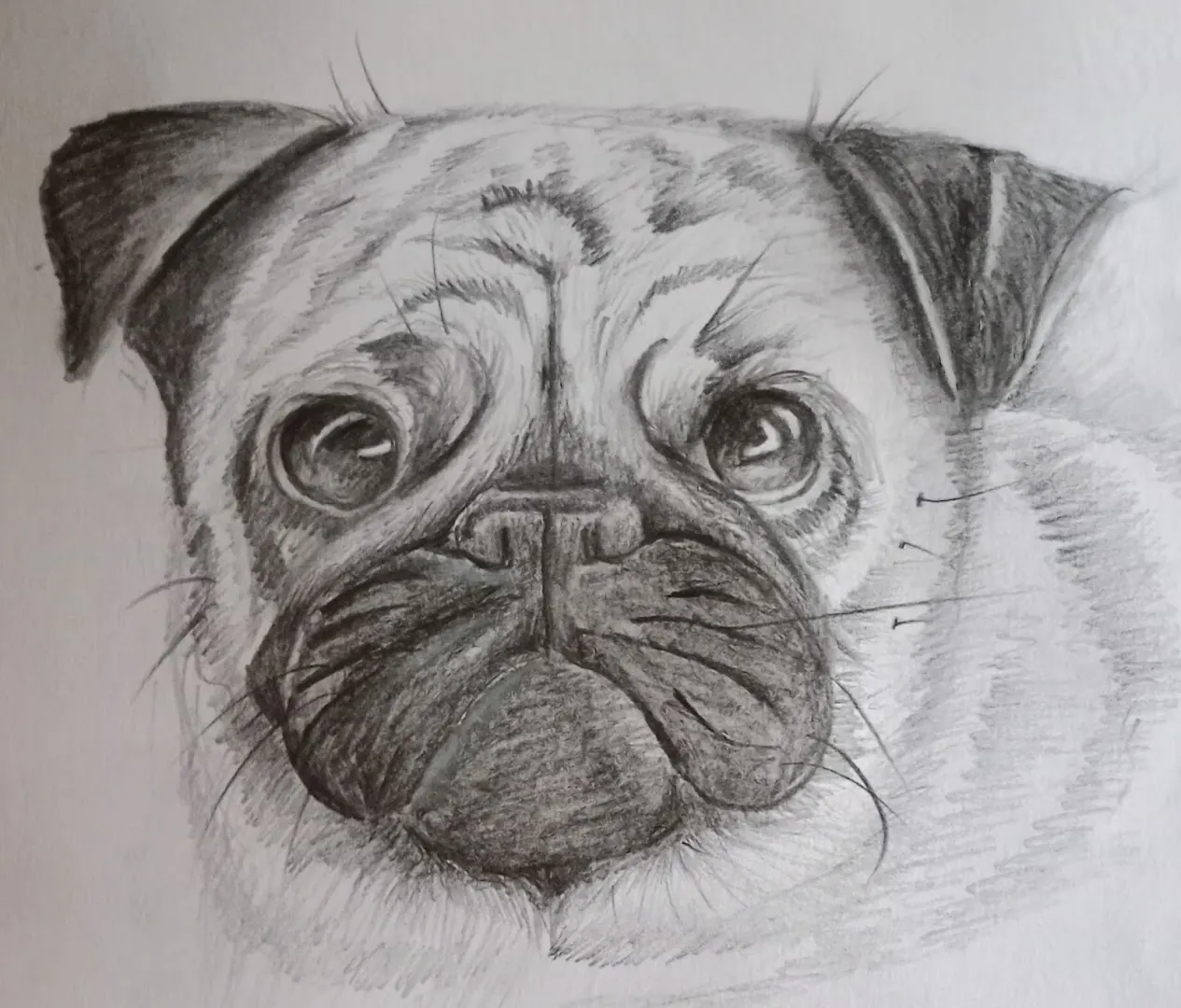 Drawing classes with Ritu photo 1