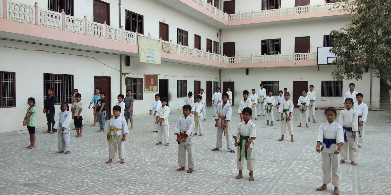 The vipers karate acedamy (viper02) photo 1