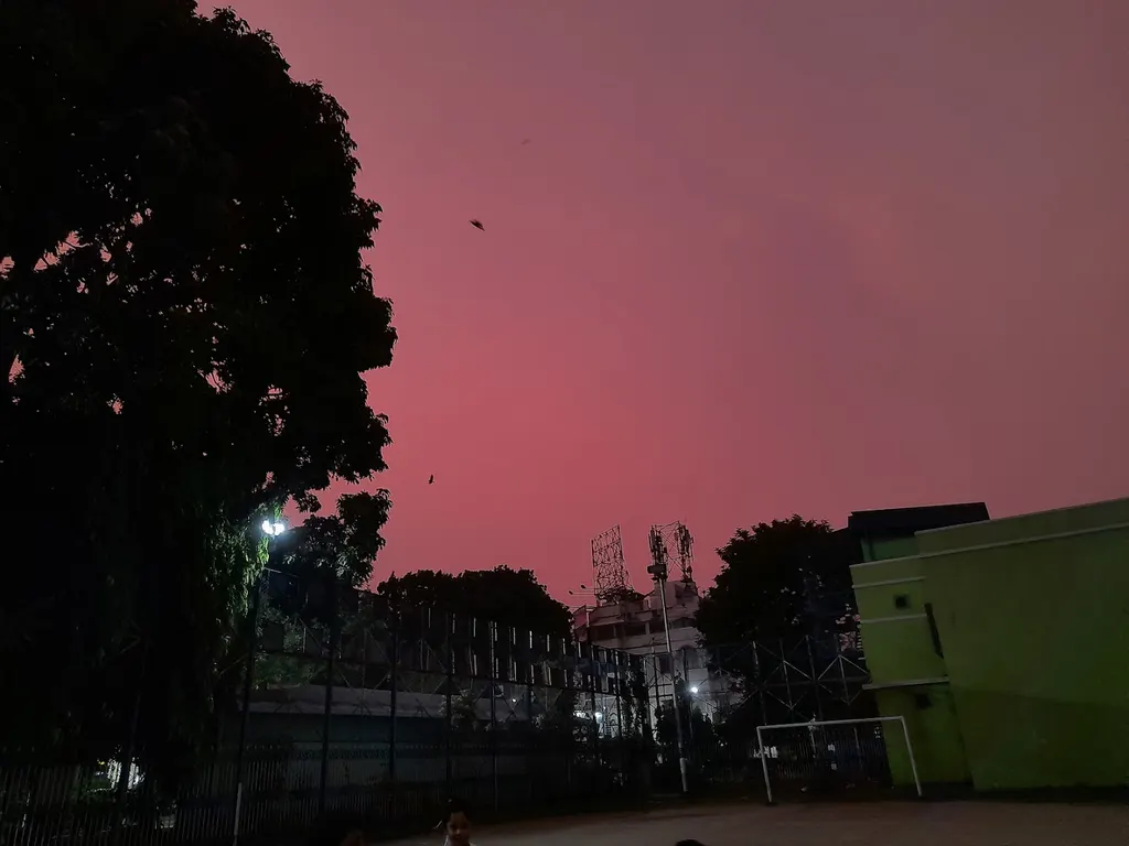 Naba Bhratri Sangha — Martial Arts in Darjipara