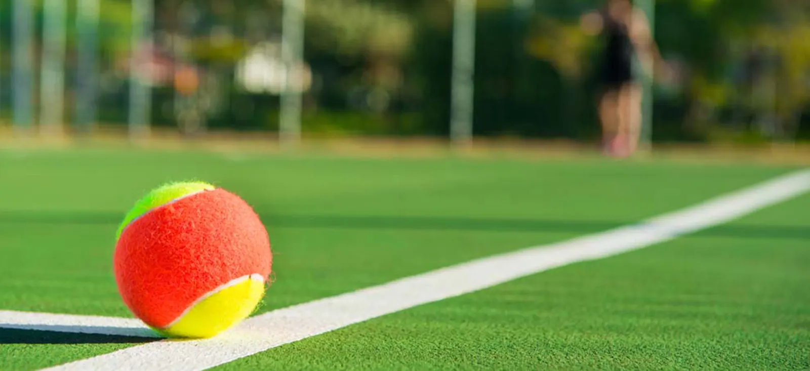 IB Sports Infra - Sports Infrastructure Company photo 1