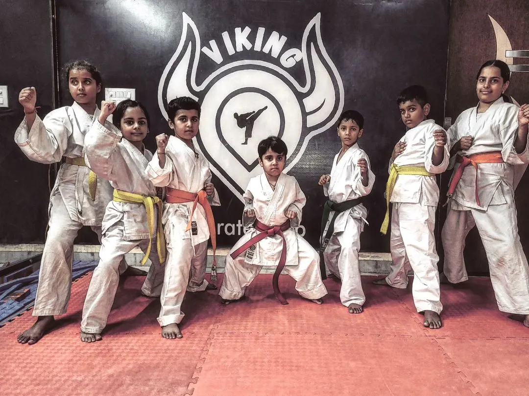 Viking Sports Club photo 1