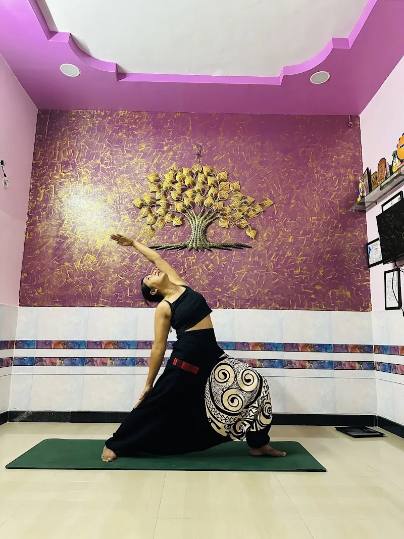 Nirogam yoga and wellness centre photo 1