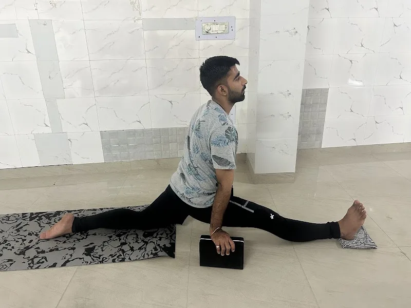 The Essence of Yoga — Yoga in Subhash Nagar