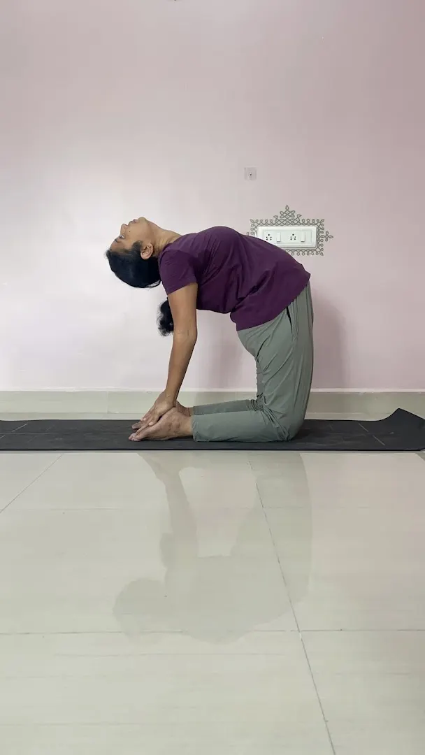 Jyo's Yoga — Yoga in Kolathur