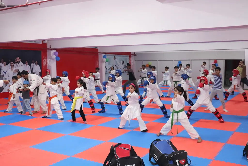 Universal Martial Arts Sector 43 — Martial Arts in Sector 43