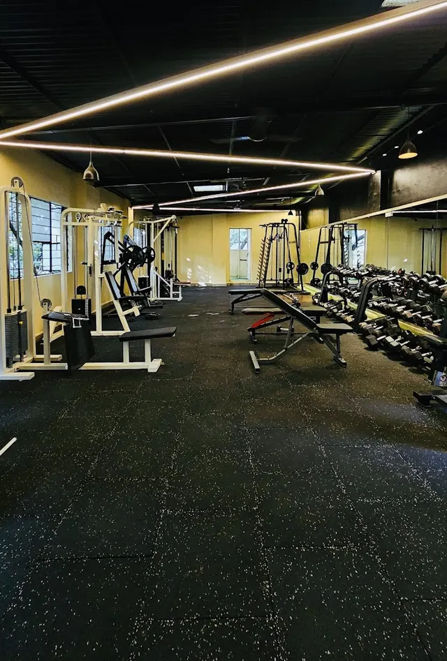 Sammy Fitness Studio