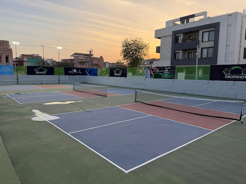 Dropshot Pickleball Court