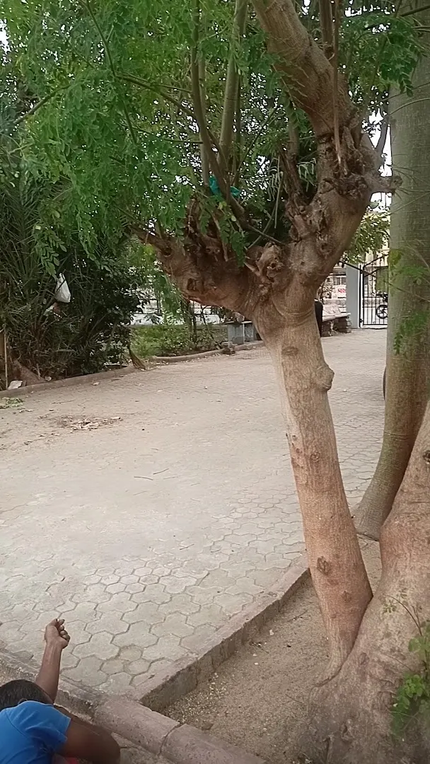 Skating Playground — Skating in Khodiar Nagar