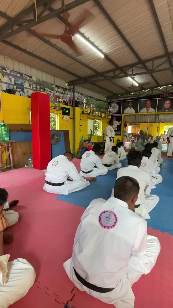 The Divine Academy of Karate and Yoga Alwarpet — Martial Arts in Alwarpet