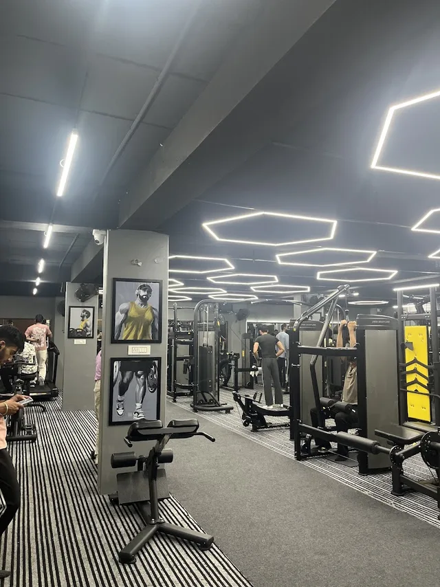 Maxfit Premium