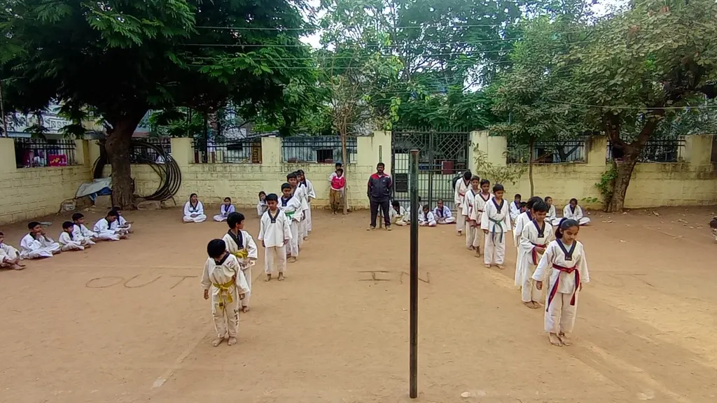 super power teakwondo academy — Martial Arts in New Nallakunta