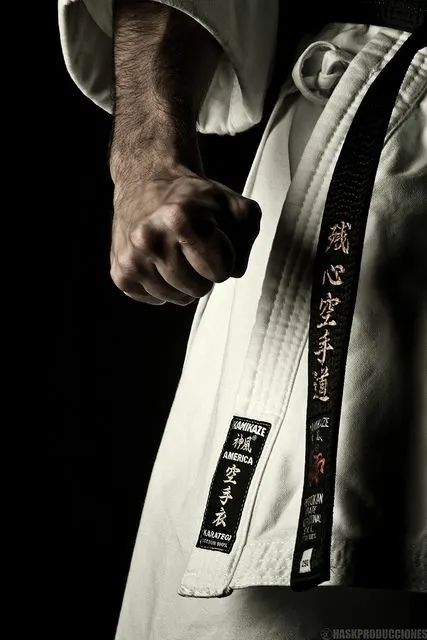 Alan thilak karate school photo 1
