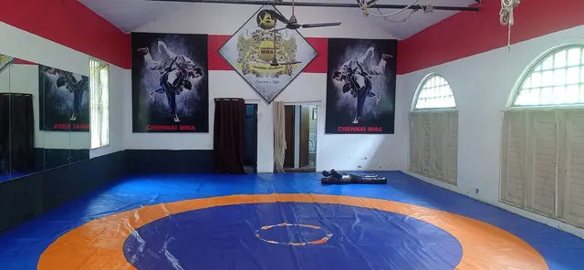 Chennai Mixed Martial Arts Fight Club — Martial Arts in Sholinganallur