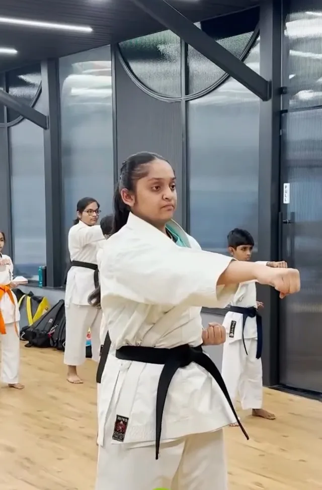 The ONE Dojo