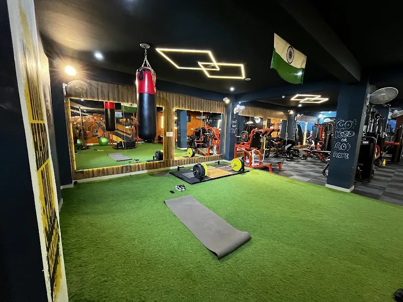 Dumbbells & Curls — Standard Gym in Ajabpur Khurd