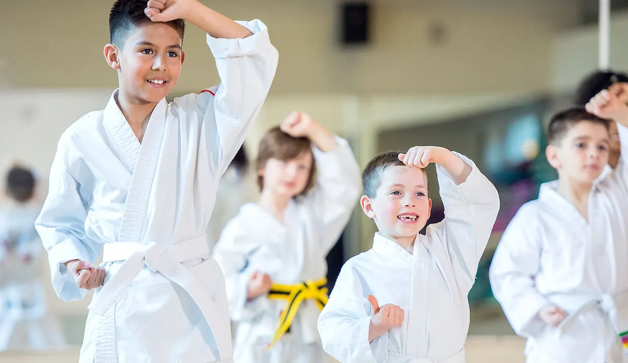 The Taekwon-do Academy — Martial Arts in Madhu Vihar, Delhi