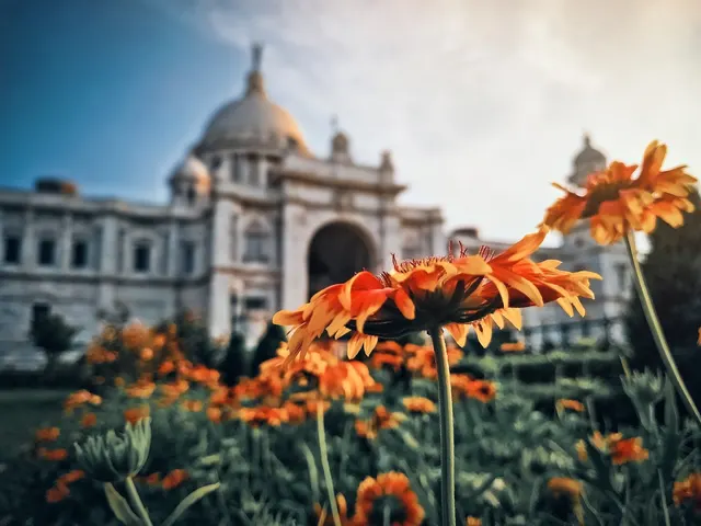 Kolkatar Chobiwala Photography — Photography in Maidan