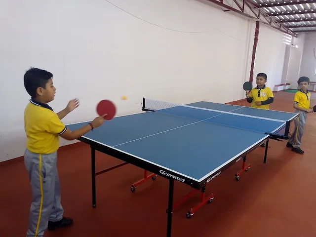Meerashree Table Tennis Sports Academy — Tennis in Hiran Magri
