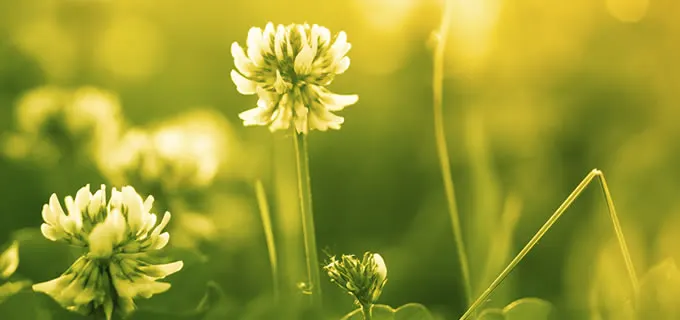 Brahma Kumaris Rajayoga Centre — Yoga in Gujranwala Town, Delhi