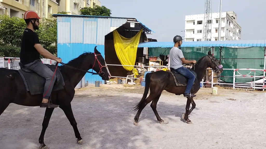Great Horse riding academy — Horse Riding in Falaknuma