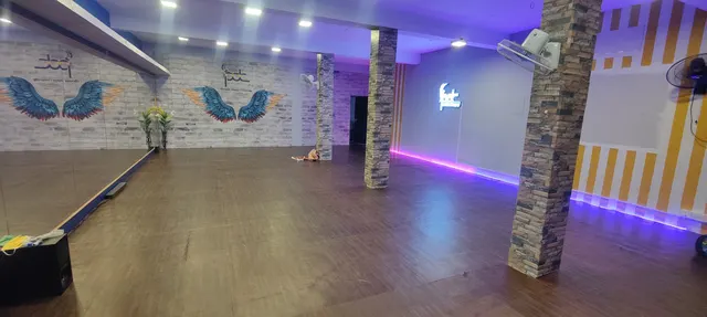 Phoenix Dance Company — Dance in Choolaimedu