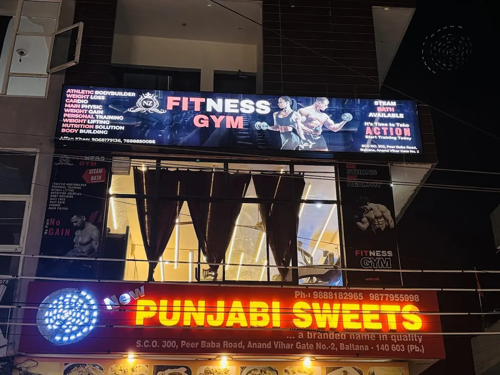 NZ FITNESS GYM — Fitness Center in Sector 19
