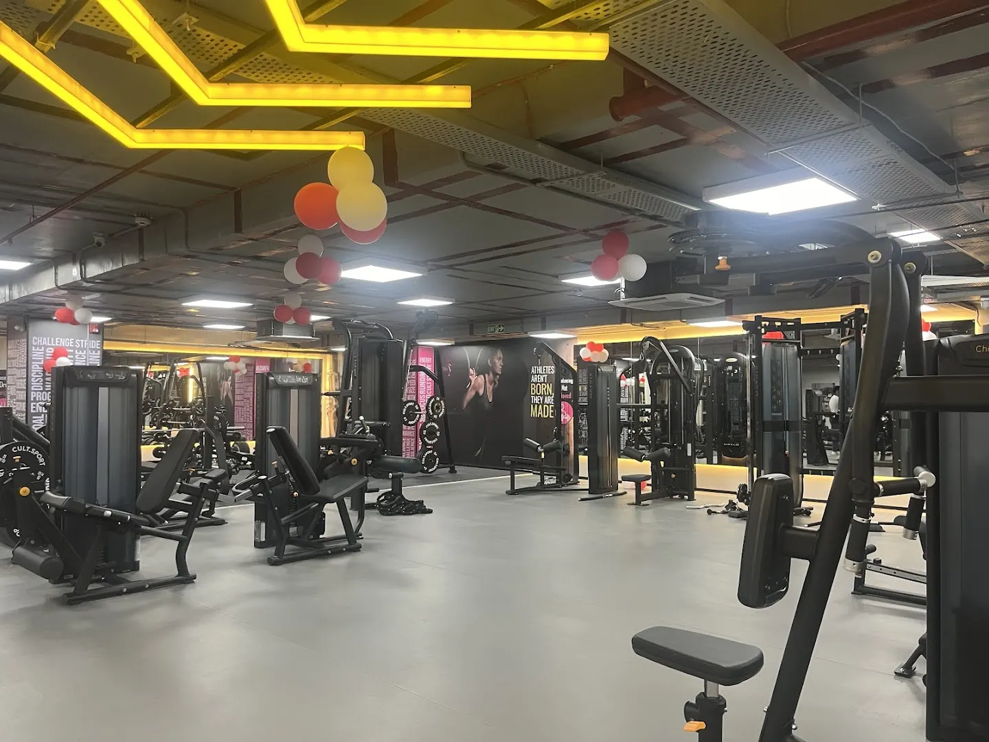 Cult Gym Banjara Hills Road No. 2 - Best Gym in Banjara Hills, Hyderabad — Yoga in Banjara Hills, Hyderabad