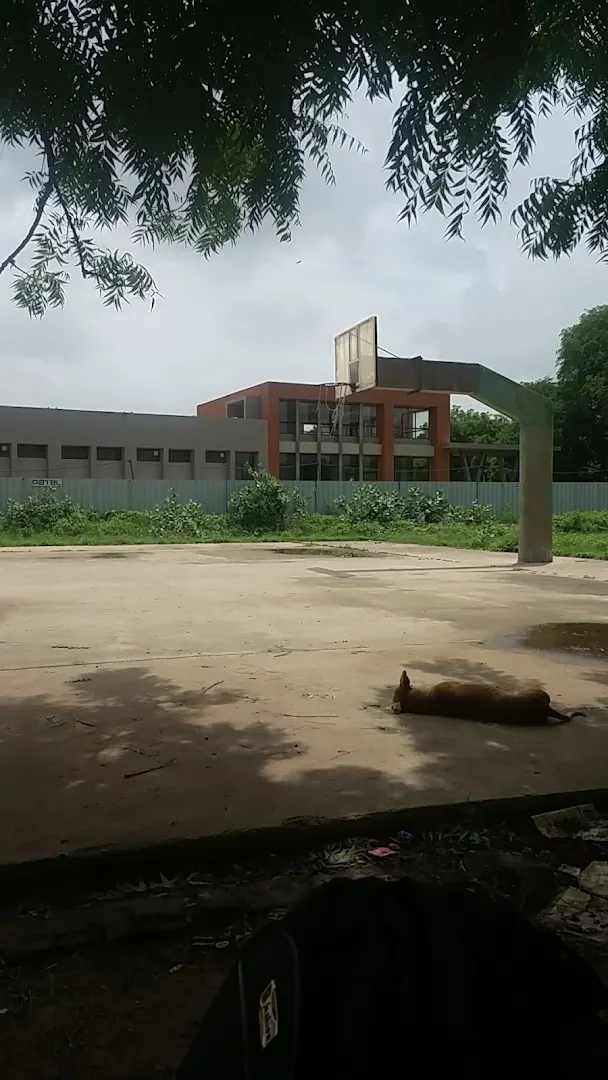 Basketball Court — Basketball in University Area