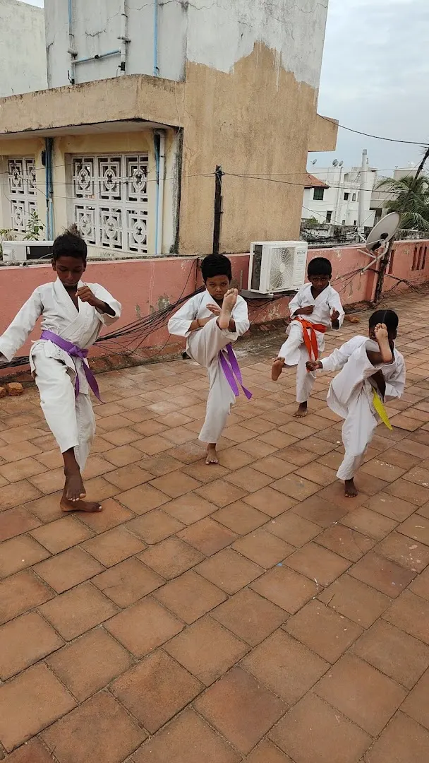 The Divine Academy of Karate and Yoga Valmiki Nagar — Martial Arts in Valmiki Nagar