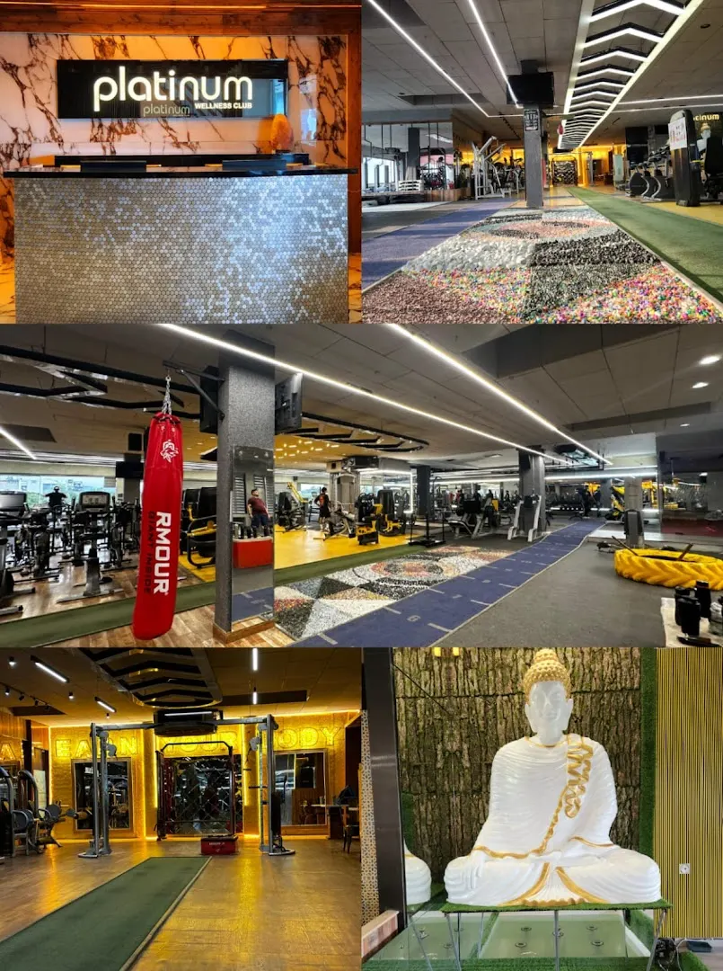 Platinum Fitness Gym & Spa — Fitness Center in Budanpur, Panchkula