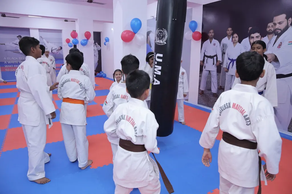 Universal Martial Arts Sector 1 — Martial Arts in Sector 1