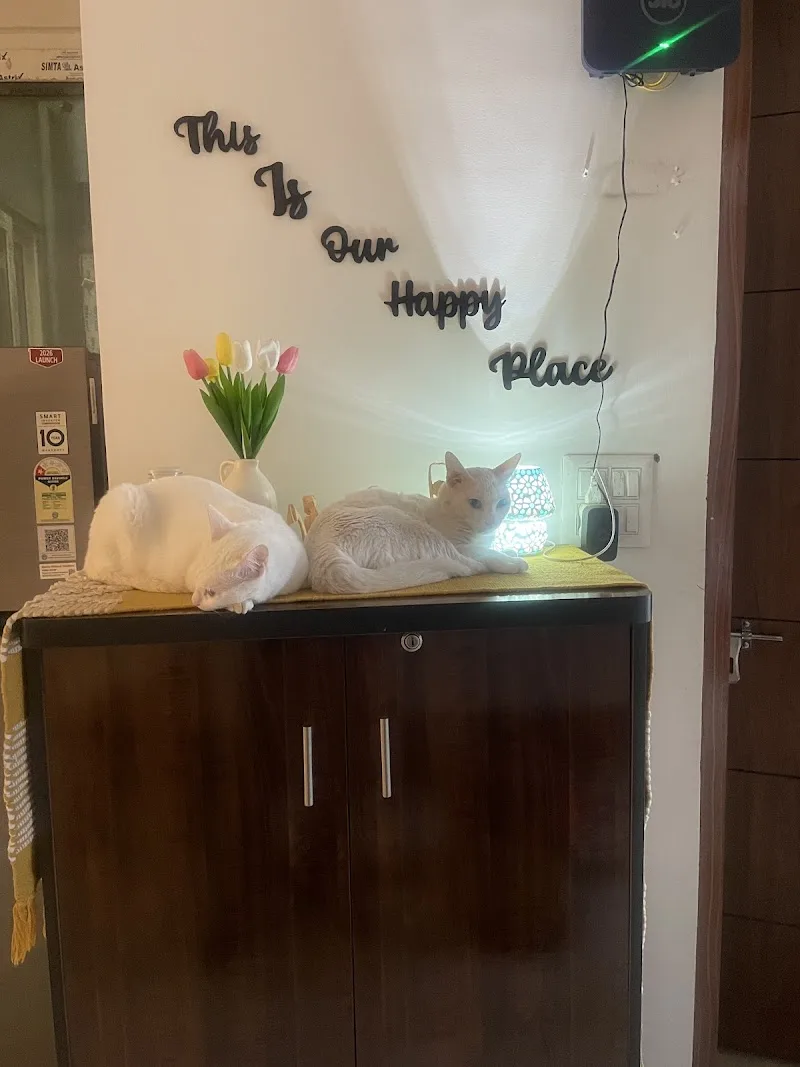 The MyYoga - women’s yoga & fitness classes — Yoga in Aman Vihar
