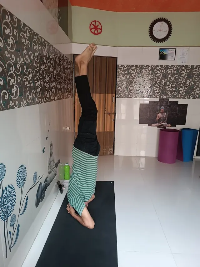 Vaidik Yoga Center — Yoga in Nikol