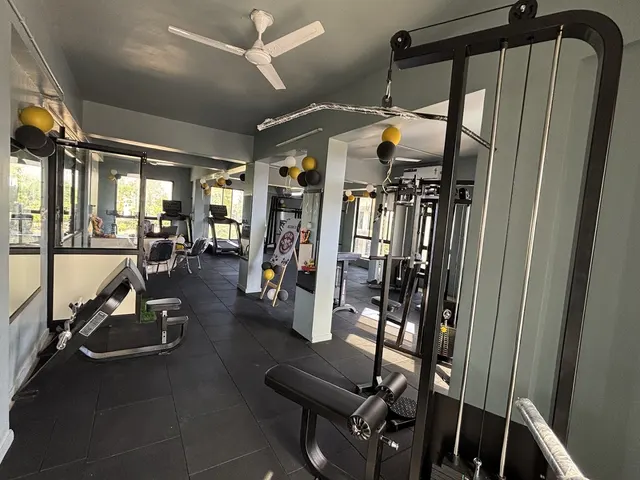 GYM 56