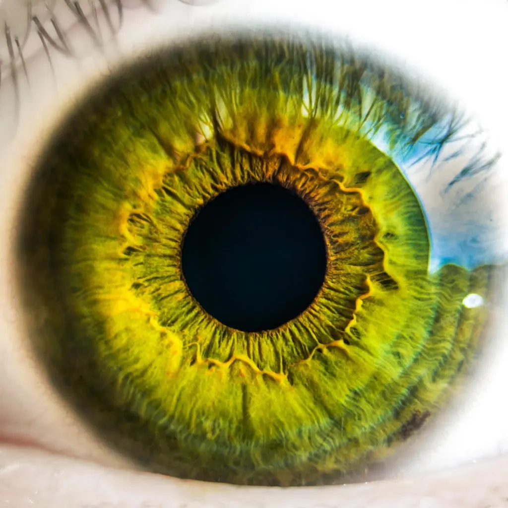 Spirit Secret meditation consciousness — Yoga in Hadapsar