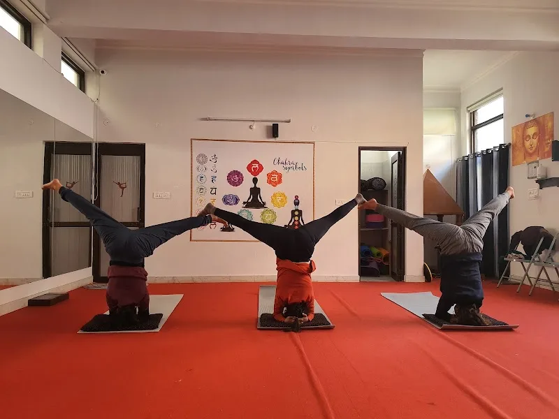 Vedanta Yoga Studio - The Yoga School — Yoga in Balliwala