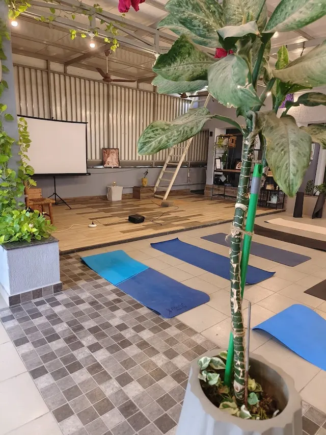 One Asana — Yoga in Madhapur