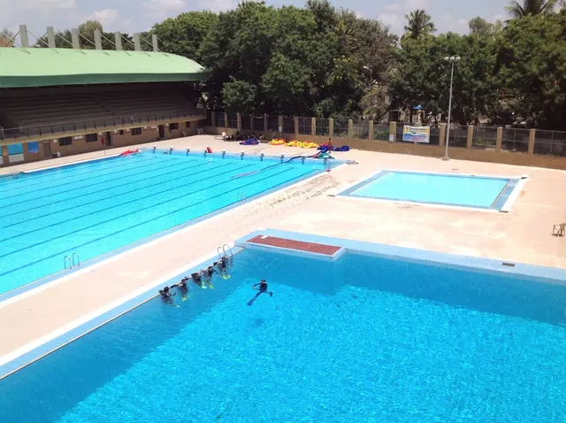 Absolute PADI Scuba Diving & Training Center — Swimming in Yerawada