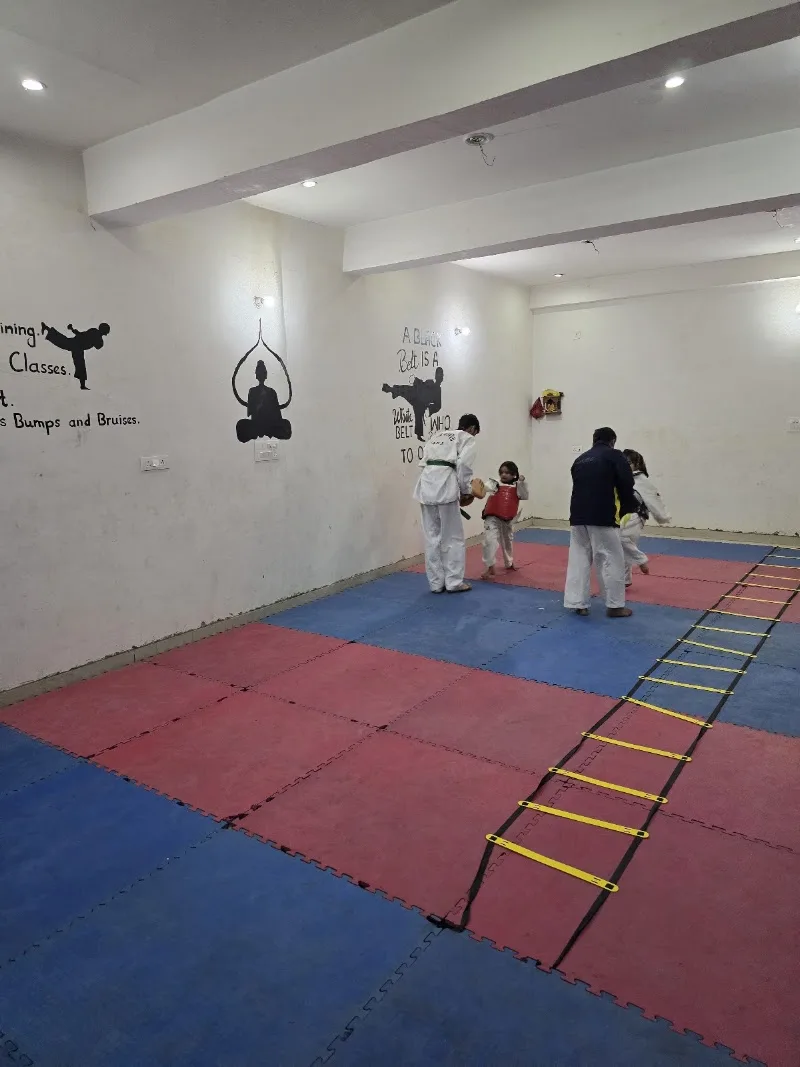 Benares School of Taekwondo — Martial Arts in Narayanpur