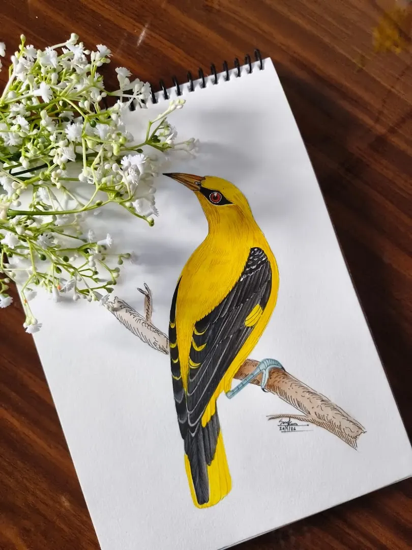 Soni.Artscape (Art & Drawing Classes) — Art & Craft in Kasba