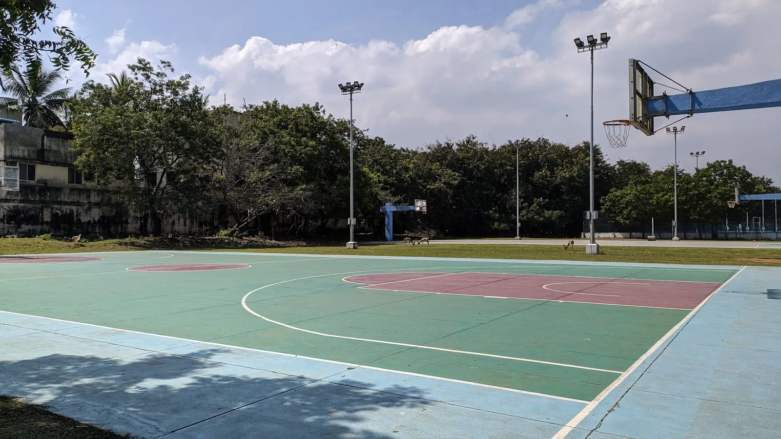 Basket Ball Court 1 — Basketball in Indian Institute Of Technology, Chennai