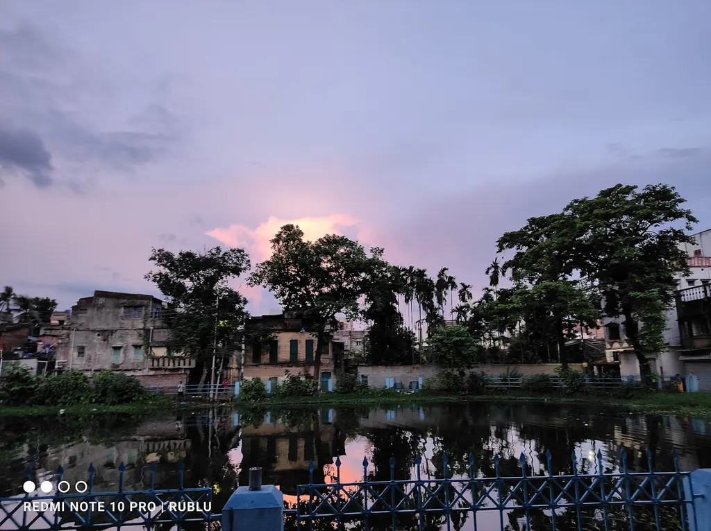 Singhi Pukur — Swimming in Tikiapara