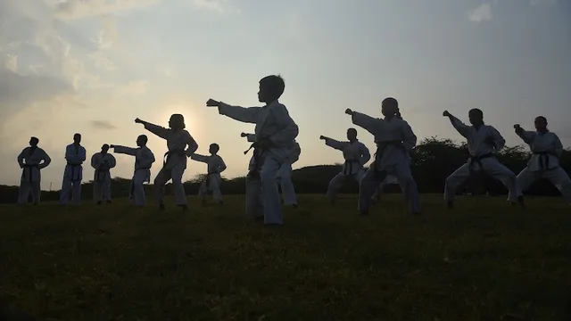 Vedic Vibrations ( Martial Arts Fitness, Self Defence, Gymnastics and Dance ) — Dance in Sector 2